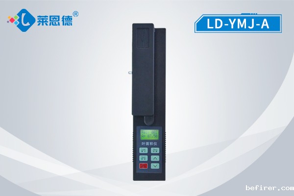 ymj-a.jpg
