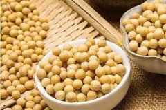 便携式蔬菜农药检测仪检测大豆农残