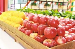多功能食品安全检测仪使用