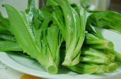 蔬菜农药检测仪哪里买