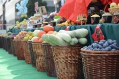 便携式农药残留检测仪的操作注意事项