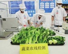 蔬菜水果农药检测仪检测依据是什么